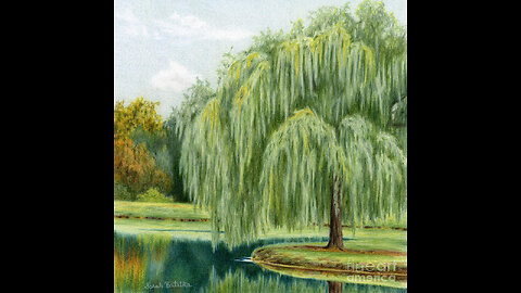 7/27/2025: 40 arces movie review(Device overheated)