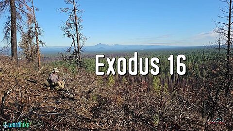 Exodus 16, Bible Reading in Nature, BSB
