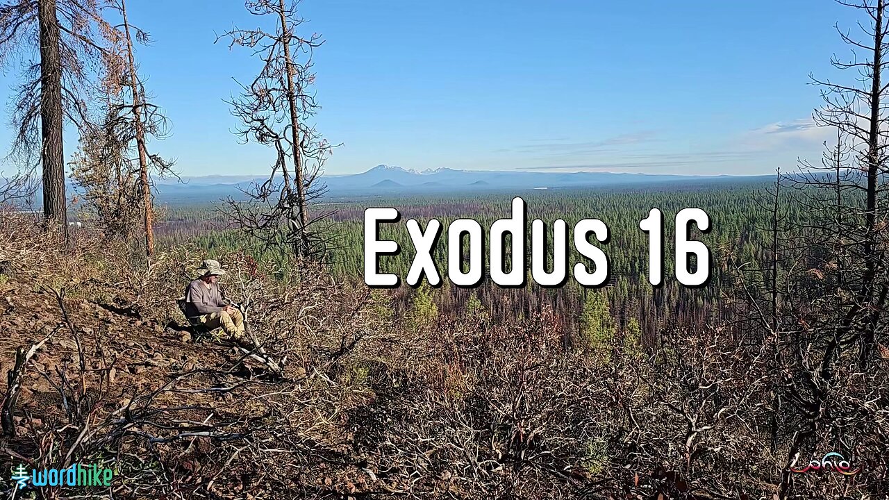 Exodus 16, Bible Reading in Nature, BSB