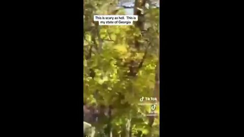 "Unseen Invasion: The Hidden Threat in Georgia’s Greenery Exposed!"