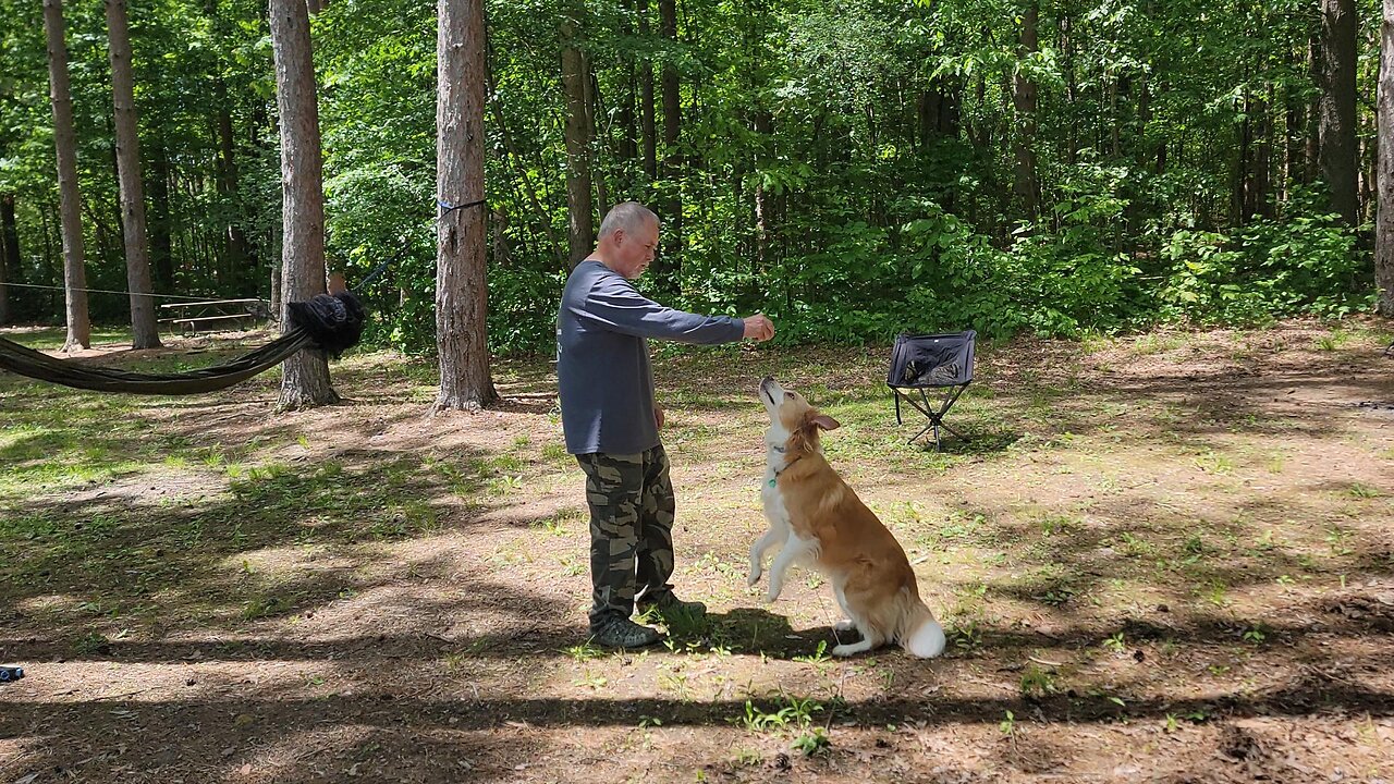 Peaceful Camping with my Dog and then this happens