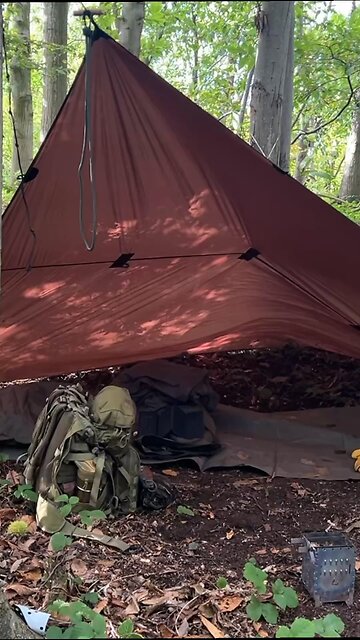 WOODLAND TIME is the Best Time