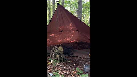 WOODLAND TIME is the Best Time