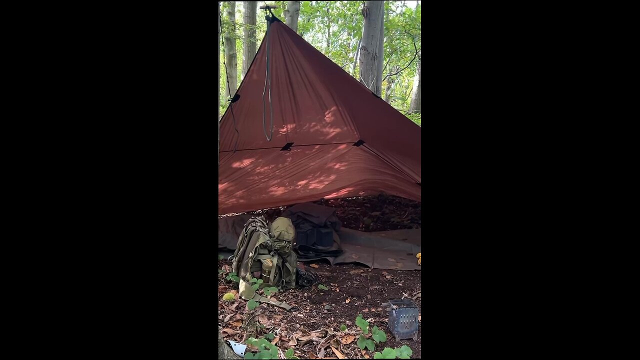 WOODLAND TIME is the Best Time
