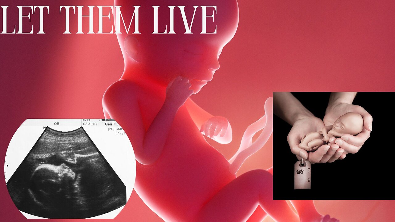 HUMAN DIGNITY FOR THE MOST VULNERABLE with Emily Berning