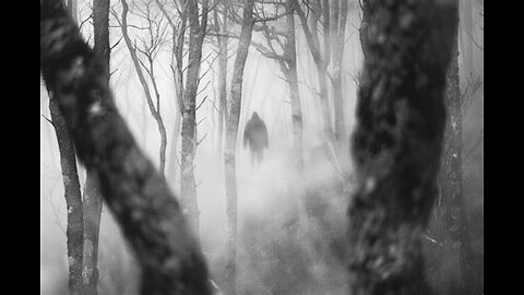 Ghosts And Apparitions- With Daniel Bourke