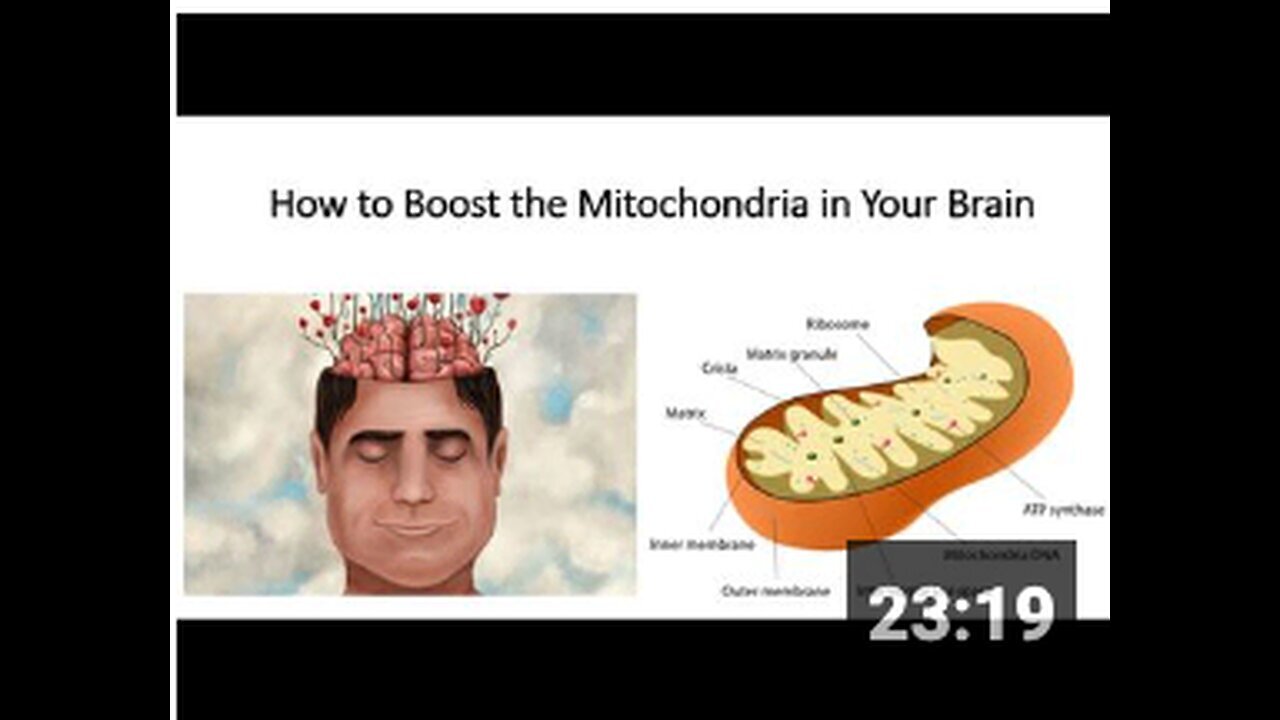 "Enhancing Mitochondrial Function, Physical Fitness, Energy, and Brain Power"