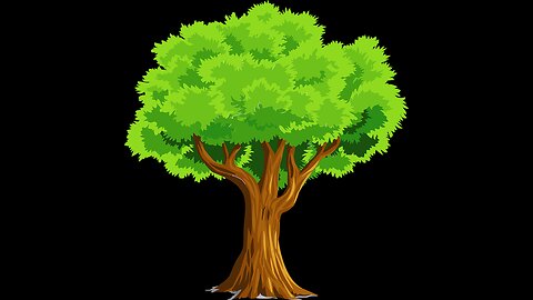 hobestobe munday moments - June 30th 2025 -