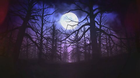 Moonlit Mansion: A Haunting Love Story