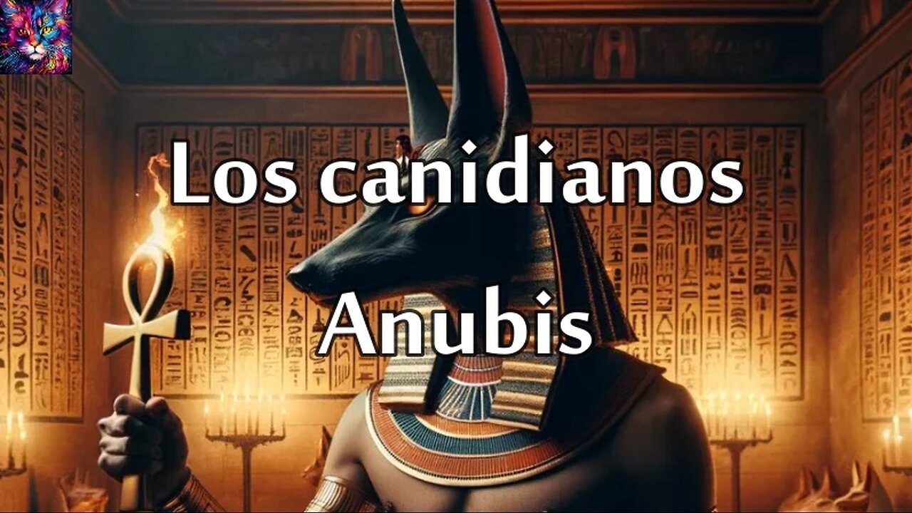 Los canidianos Anubis