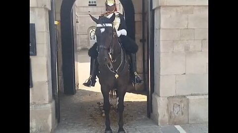 King's guard