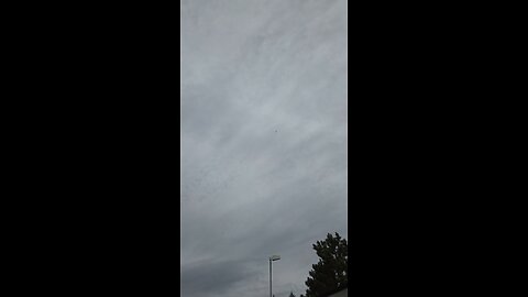 : PART-~4, MILITARY-COMMS: ~24TH, ~NOVEMBER ~2025.