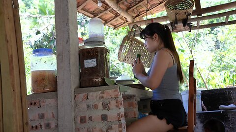 How to Make Traditional Vietnamese Fermented Pork
