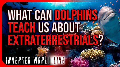 What can Dolphins Teach us About Extraterrestrials?