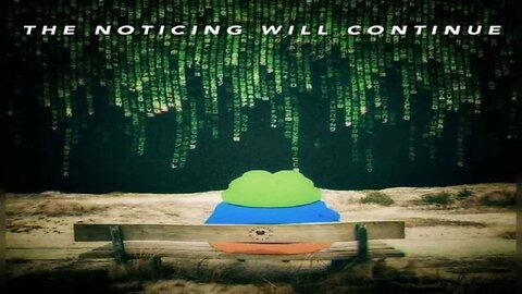 The Noticing Will Continue