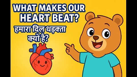 What Makes Our Heart Beat? – Engine of the Body!