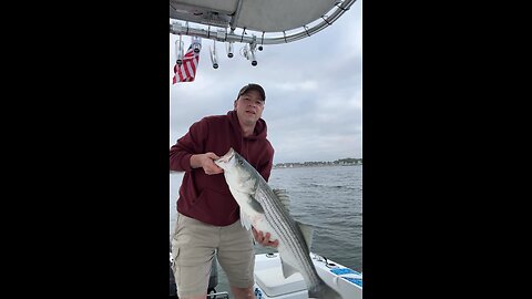 On the #Stripedbass
