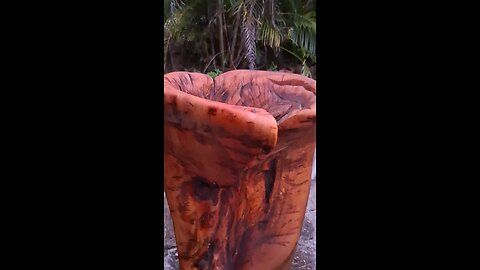 DetroitWoods