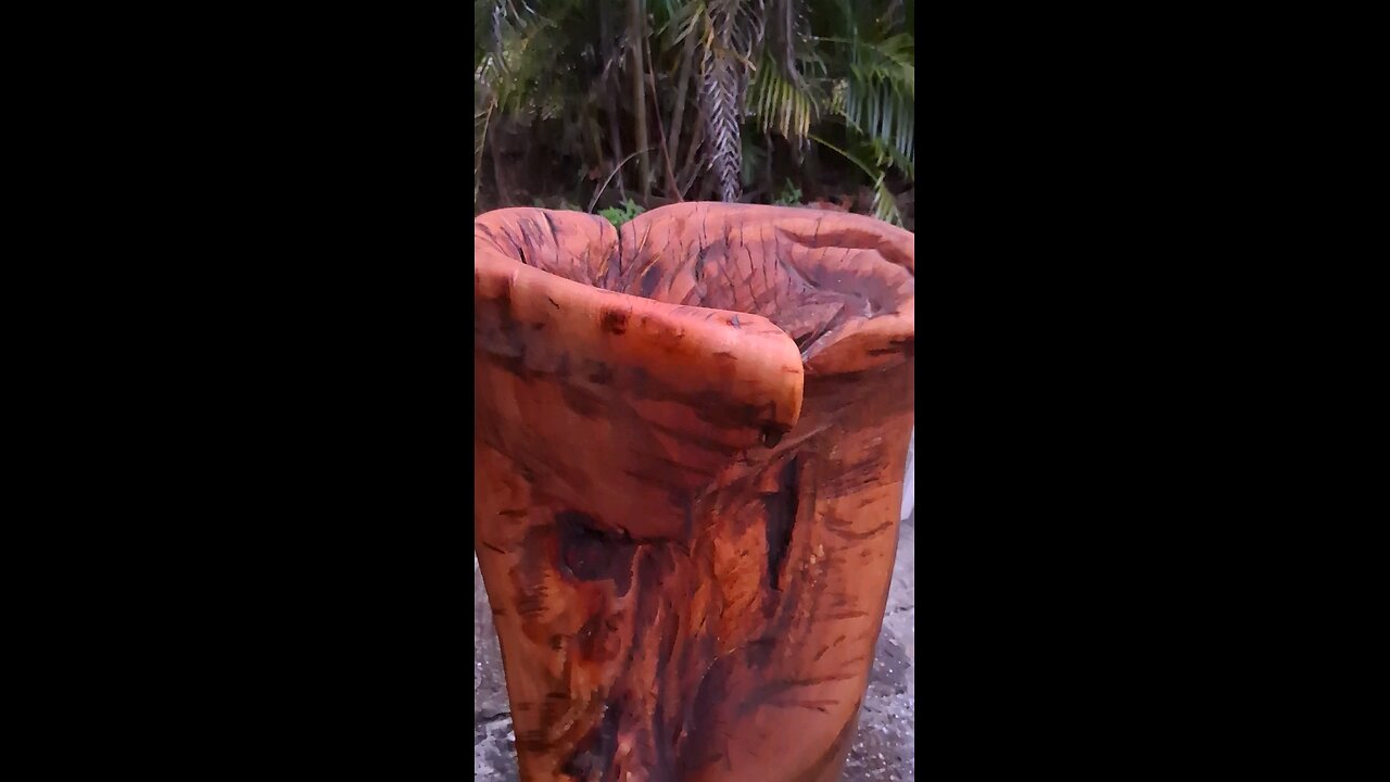 DetroitWoods