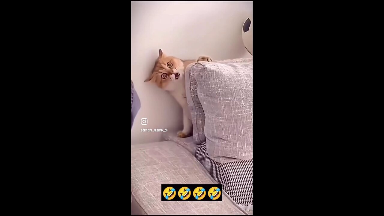 Traumatized lol