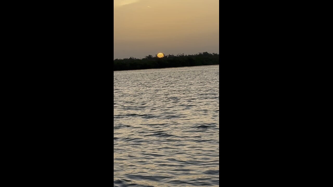 Sunset, Sunrise & Manatee! | 4K