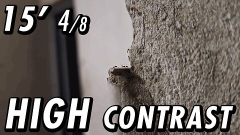 ASMR | A white background view from the "cliff", watching the ants come and go - 15' 4/8