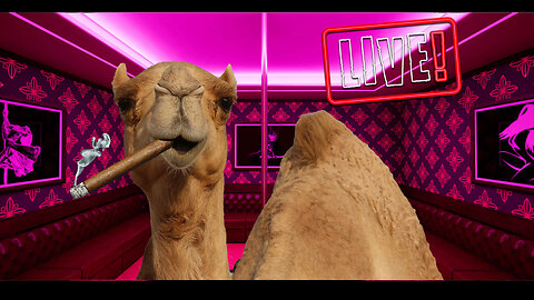 HUMP DAY LIVE! Puerto Rican Sanj is Back! CIGARS!