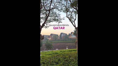 nature in Qatar