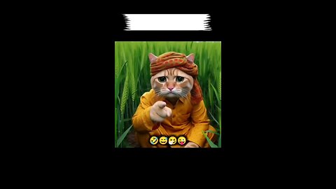 #shorts #cat #catlover #short #youtubeshorts #ytshorts #animals #catvideos #viralshort