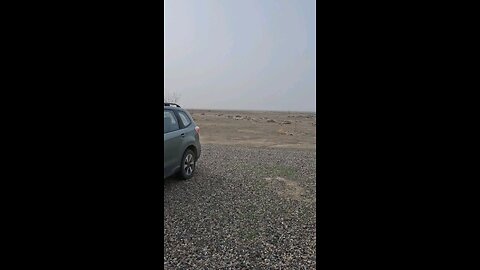 Wind -Dust Storm