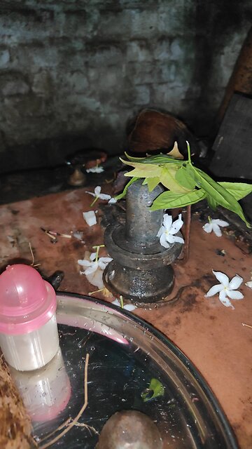 shiv puja 🥰🥰🥰