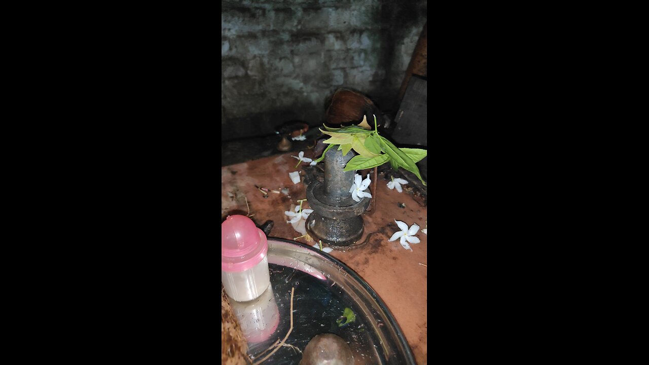 shiv puja 🥰🥰🥰