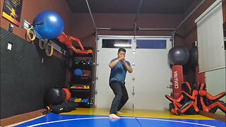WTD 2 Step Kick Combination 146