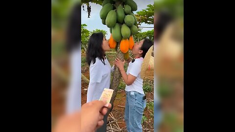 Beutiful Nature - Inspur Fresh Fruit Wonderful Video 2025