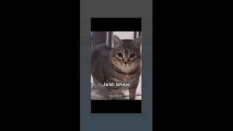 मै क्या करु बता दे