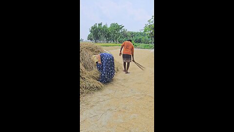 best funny video