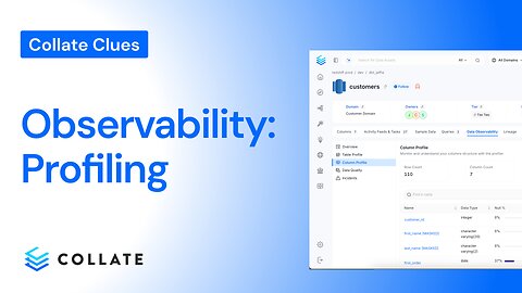 Collate Clues: Data Observability - Profiling