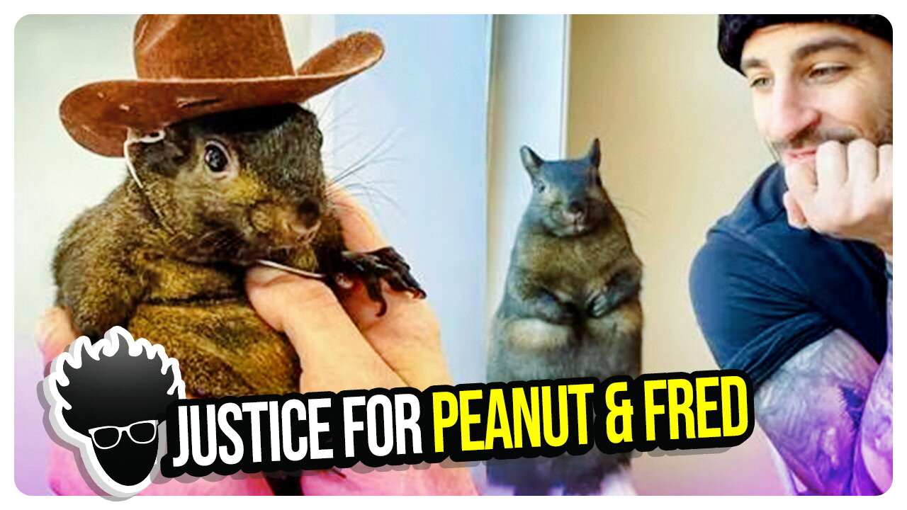 Tom Fitton Exposes NY's Plot to Kill Peanut & Fred in Shocking FOIL Request!