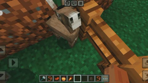 How to breed donkey in Minecraft