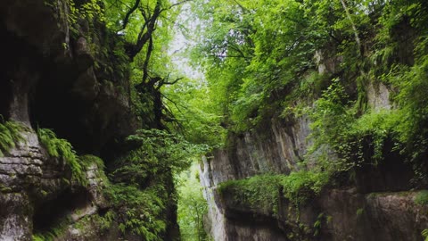 "Wake up with determination. Go to bed with satisfaction."