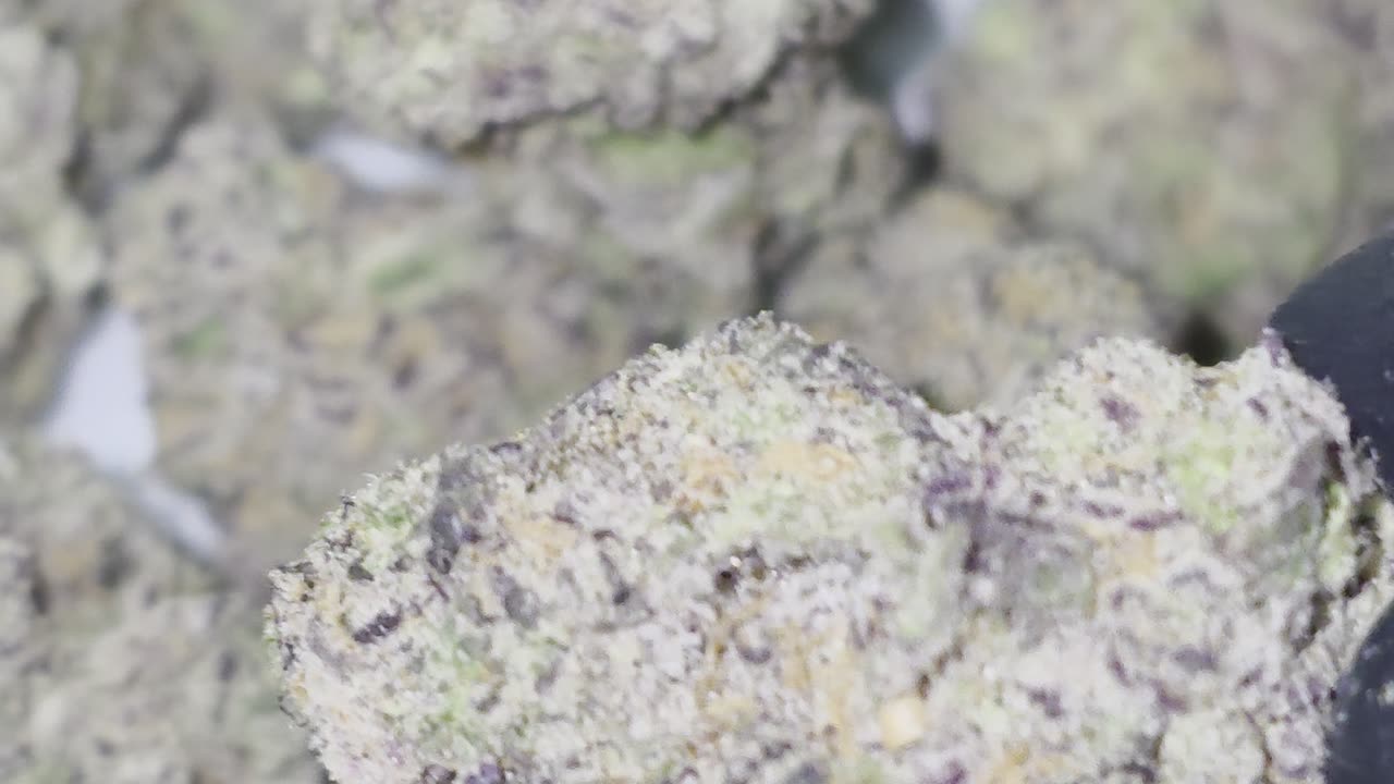 Trapzilla THC Flower