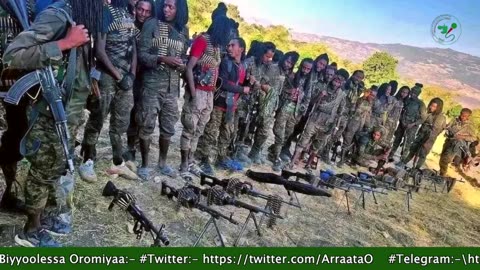 Gabaasa Tarkaanfii ONM-ABO Onkoloolessa 17-2025 itti dhiyaadhaa!