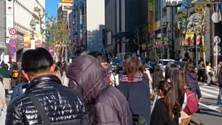 Shibuya Crossing Day Walker!🇯🇵