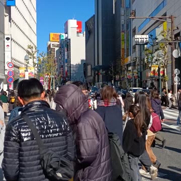 Shibuya Crossing Day Walker!🇯🇵