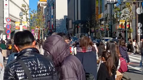 Shibuya Crossing Day Walker!🇯🇵