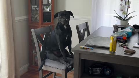 Waiting Nicely for a Sub