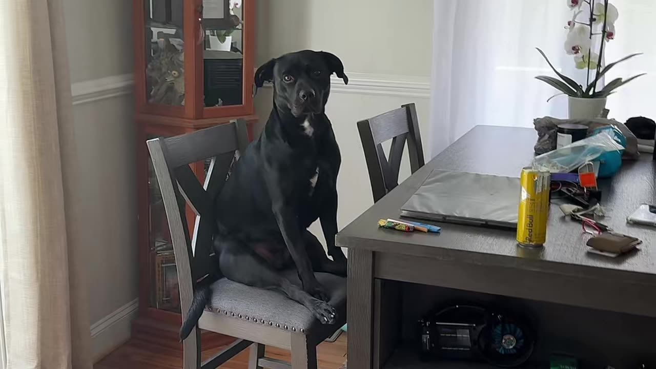 Waiting Nicely for a Sub