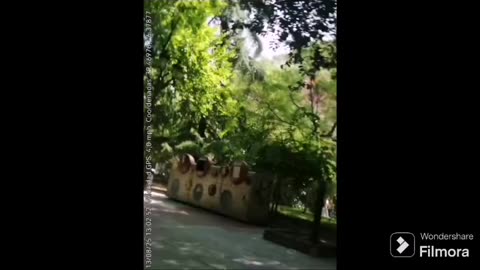 Viejos amigos