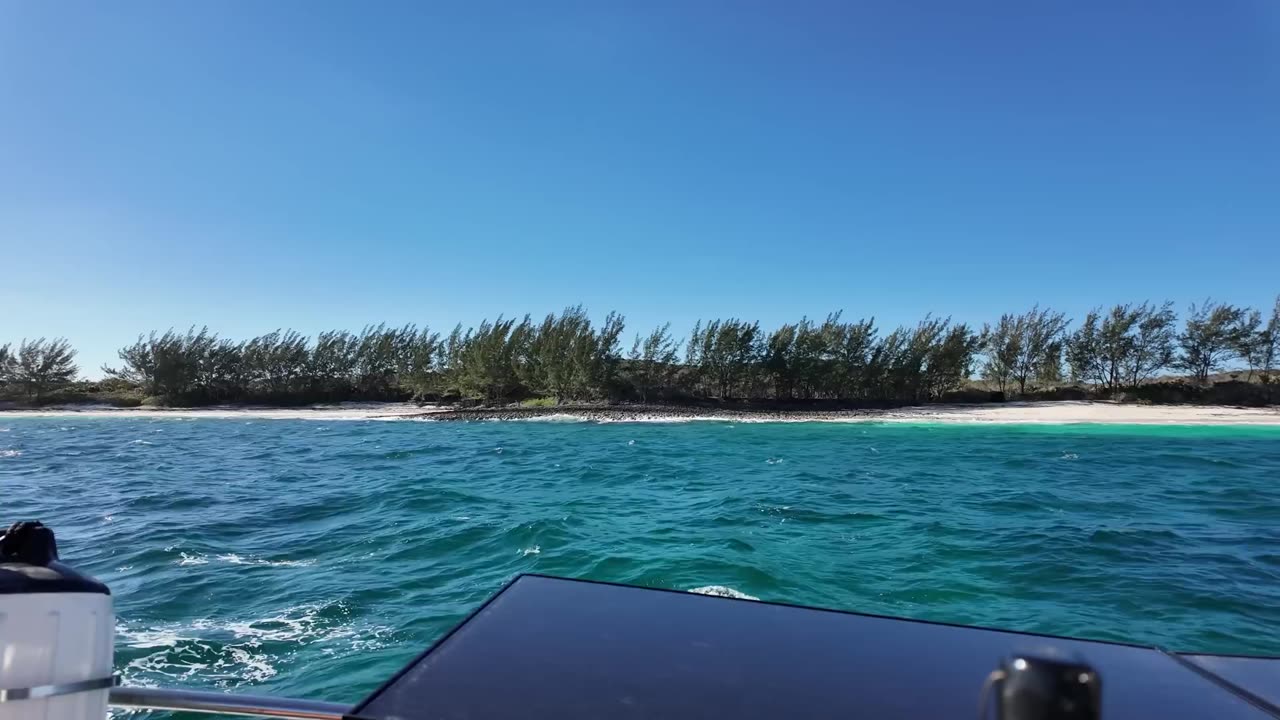 Getting my crew to help me sail our classic yacht!