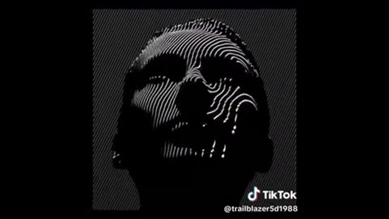 Reptilian Camouflage ..